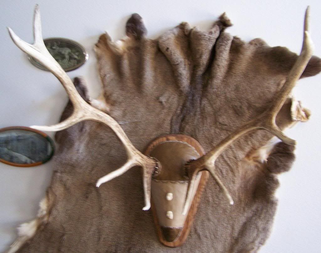 Elk Antler Mount Leather Covering to the Forum